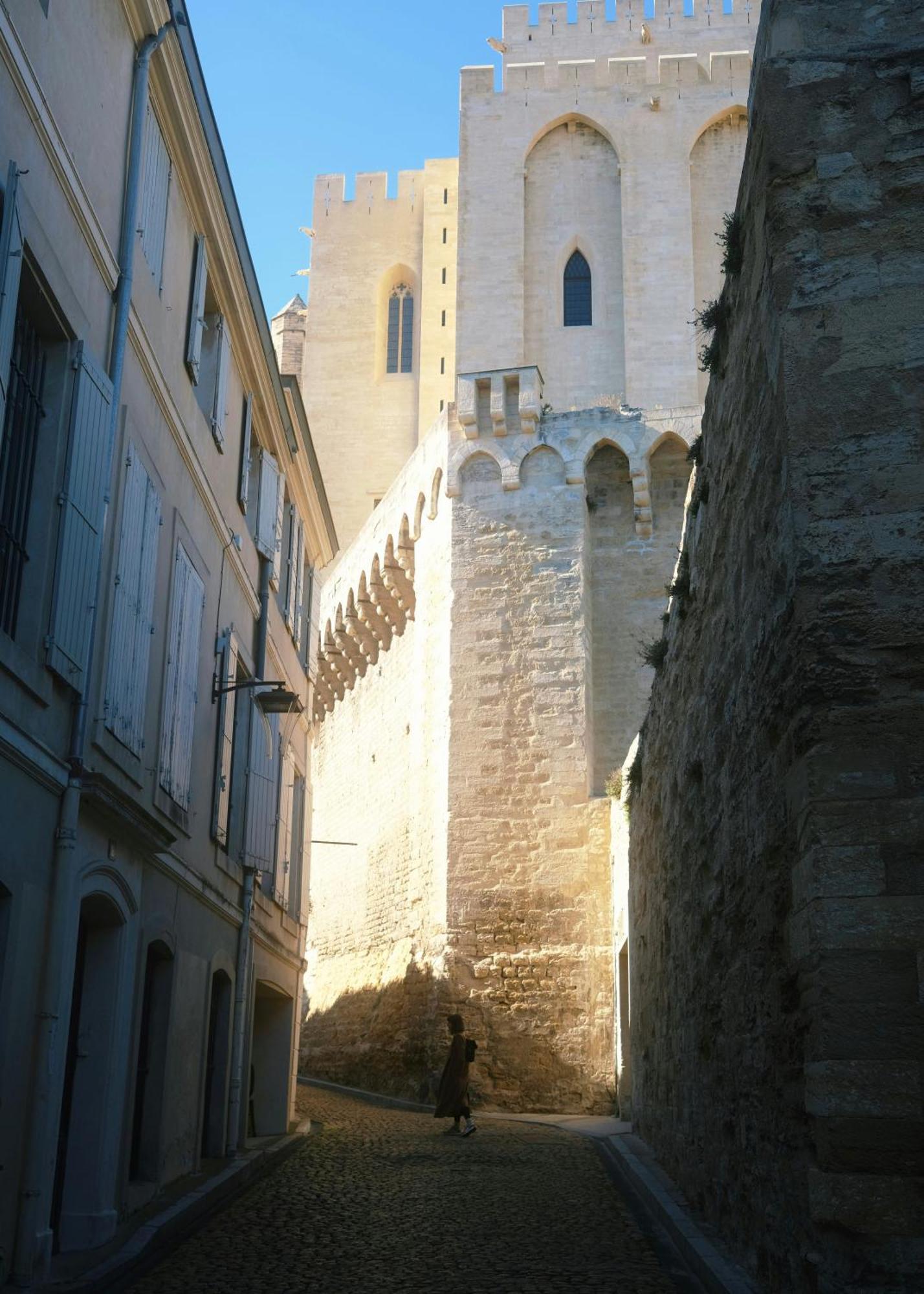 Bed & Breakfast Le Petit - & A Deux Pas Du Pont D'avignon Et Du Palais Des Papes *