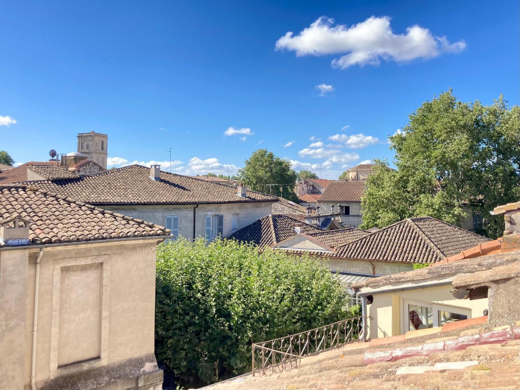 Le Petit - & A Deux Pas Du Pont D'avignon Et Du Palais Des Papes *